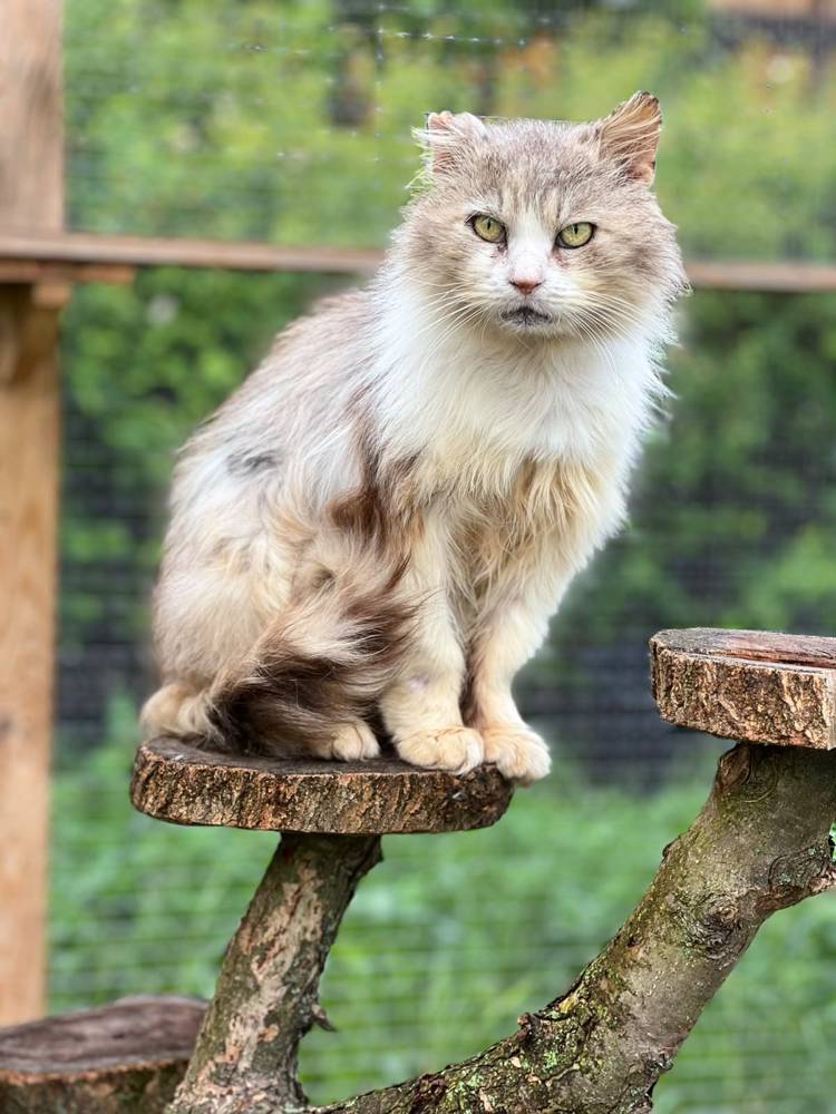 Feodor Bild 4
