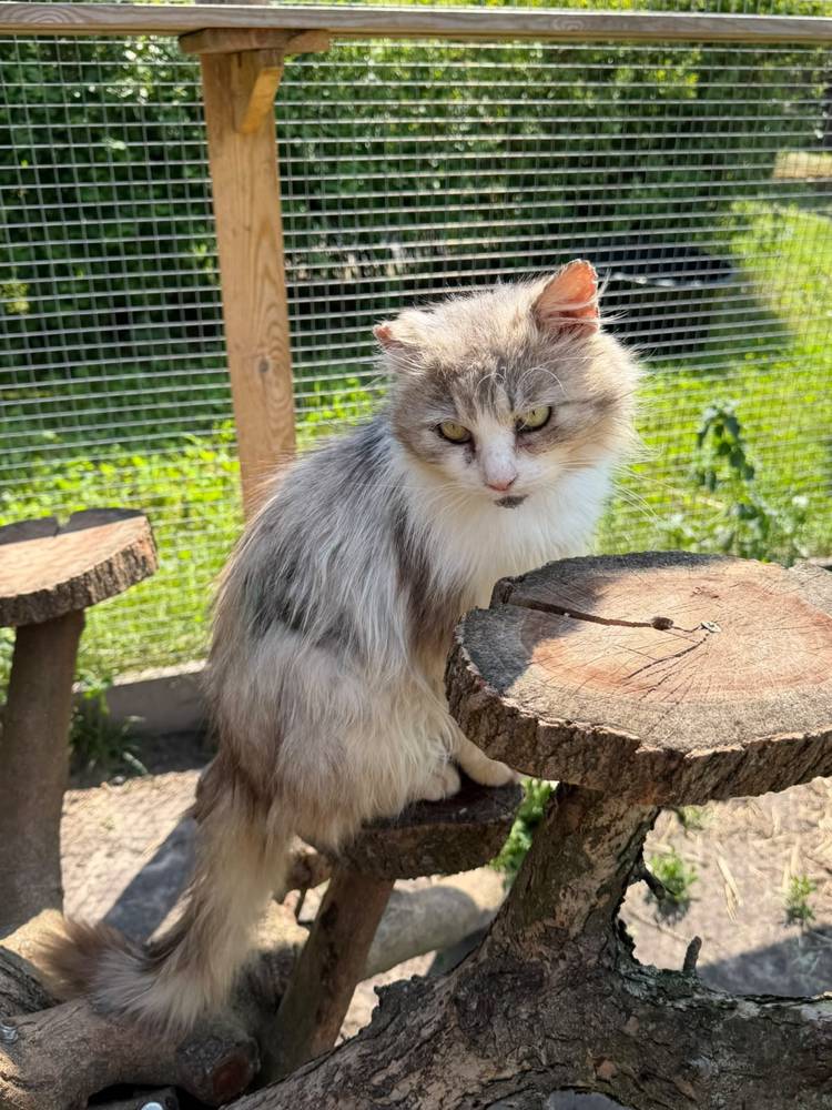 Feodor Bild 5